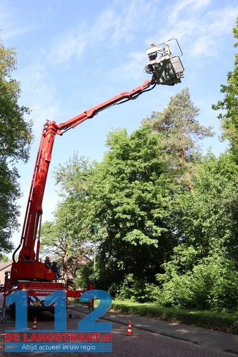 Nijlgans zet boel op stelten Dongen, hulpdiensten komen voor niets 14 Nijlgans zet boel op stelten Dongen, hulpdiensten komen voor niets 112 De Langstraat