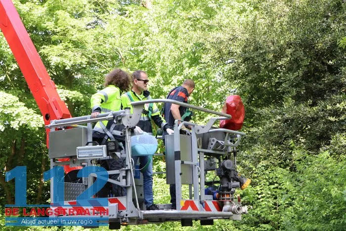 Nijlgans zet boel op stelten Dongen, hulpdiensten komen voor niets 17 Nijlgans zet boel op stelten Dongen, hulpdiensten komen voor niets 112 De Langstraat