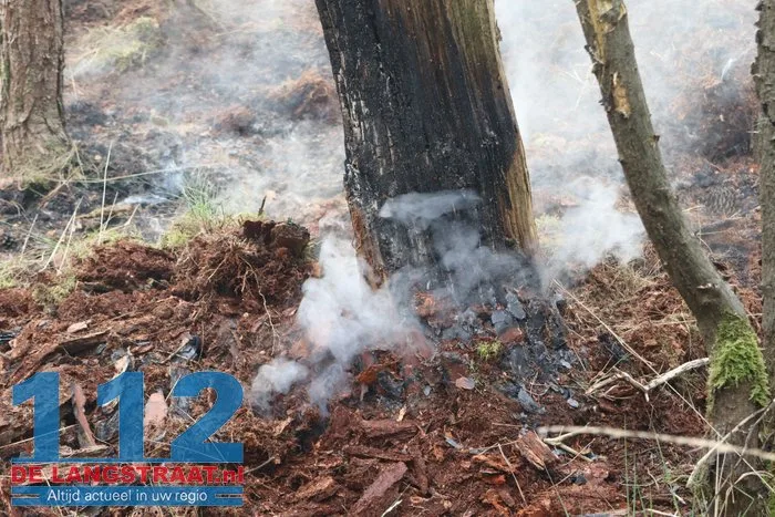 Natuurbrand in Loonse en Drunense Duinen onder controle, brandweer blijft nablussen 12 Natuurbrand in Loonse en Drunense Duinen onder controle, brandweer blijft nablussen 112 De Langstraat