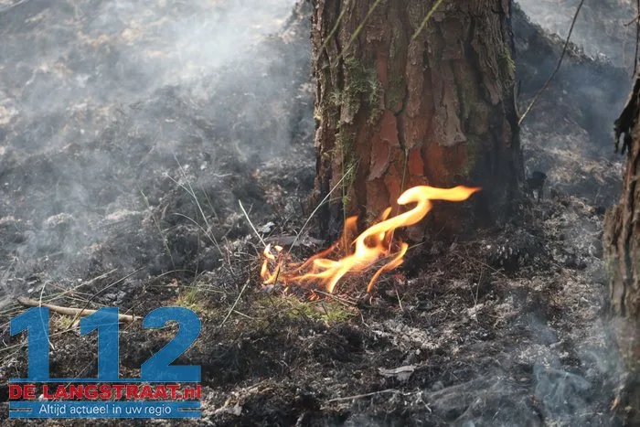 Natuurbrand in Loonse en Drunense Duinen onder controle, brandweer blijft nablussen 13 Natuurbrand in Loonse en Drunense Duinen onder controle, brandweer blijft nablussen 112 De Langstraat