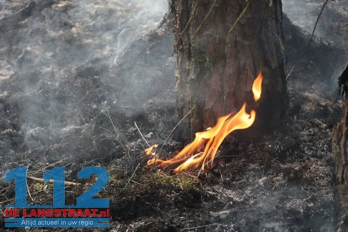 Natuurbrand in Loonse en Drunense Duinen onder controle, brandweer blijft nablussen 14 Natuurbrand in Loonse en Drunense Duinen onder controle, brandweer blijft nablussen 112 De Langstraat