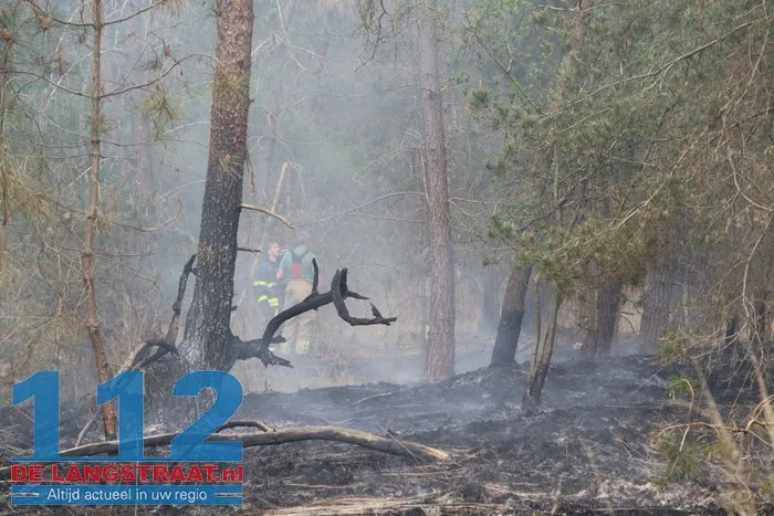 Natuurbrand in Loonse en Drunense Duinen onder controle, brandweer blijft nablussen 25 Natuurbrand in Loonse en Drunense Duinen onder controle, brandweer blijft nablussen 112 De Langstraat