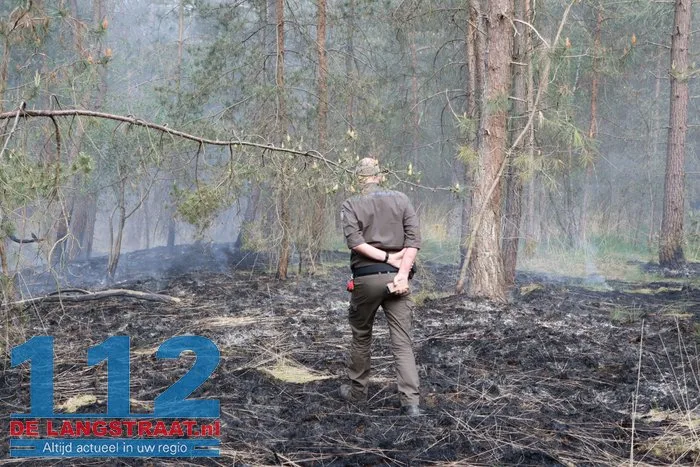 Natuurbrand in Loonse en Drunense Duinen onder controle, brandweer blijft nablussen 26 Natuurbrand in Loonse en Drunense Duinen onder controle, brandweer blijft nablussen 112 De Langstraat