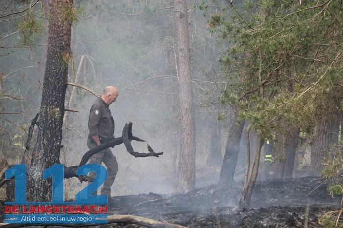 Natuurbrand in Loonse en Drunense Duinen onder controle, brandweer blijft nablussen 27 Natuurbrand in Loonse en Drunense Duinen onder controle, brandweer blijft nablussen 112 De Langstraat