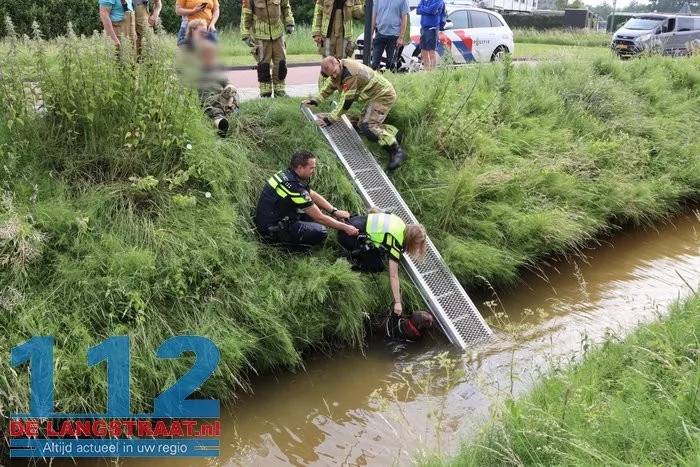 Hond belandt in sloot in Sprang-Capelle, politie en brandweer schieten te hulp 1 Hond belandt in sloot in Sprang-Capelle, politie en brandweer schieten te hulp 112 De Langstraat