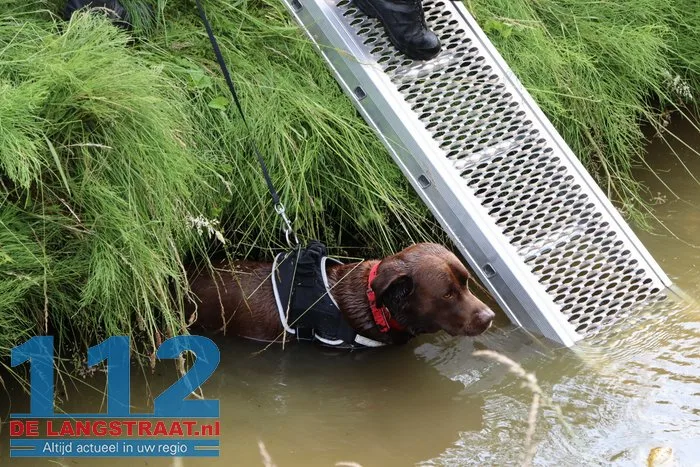 Hond belandt in sloot in Sprang-Capelle, politie en brandweer schieten te hulp 3 Hond belandt in sloot in Sprang-Capelle, politie en brandweer schieten te hulp 112 De Langstraat