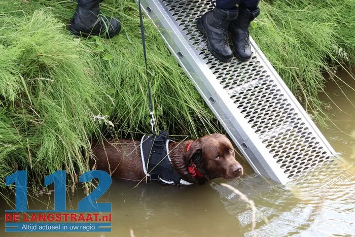 Hond belandt in sloot in Sprang-Capelle, politie en brandweer schieten te hulp 4 Hond belandt in sloot in Sprang-Capelle, politie en brandweer schieten te hulp 112 De Langstraat