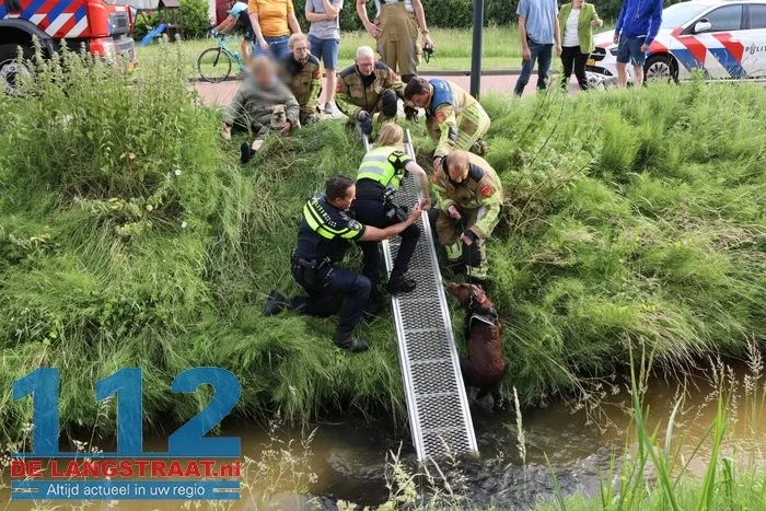 Hond belandt in sloot in Sprang-Capelle, politie en brandweer schieten te hulp 9 Hond belandt in sloot in Sprang-Capelle, politie en brandweer schieten te hulp 112 De Langstraat