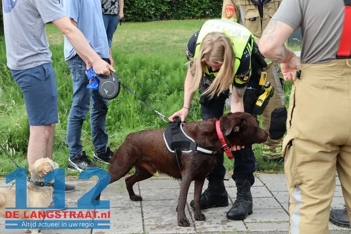 Hond belandt in sloot in Sprang-Capelle, politie en brandweer schieten te hulp 13 Hond belandt in sloot in Sprang-Capelle, politie en brandweer schieten te hulp 112 De Langstraat