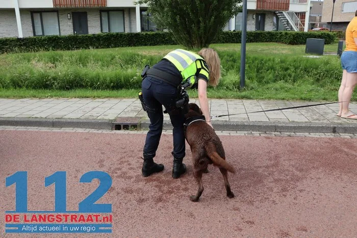 Hond belandt in sloot in Sprang-Capelle, politie en brandweer schieten te hulp 15 Hond belandt in sloot in Sprang-Capelle, politie en brandweer schieten te hulp 112 De Langstraat