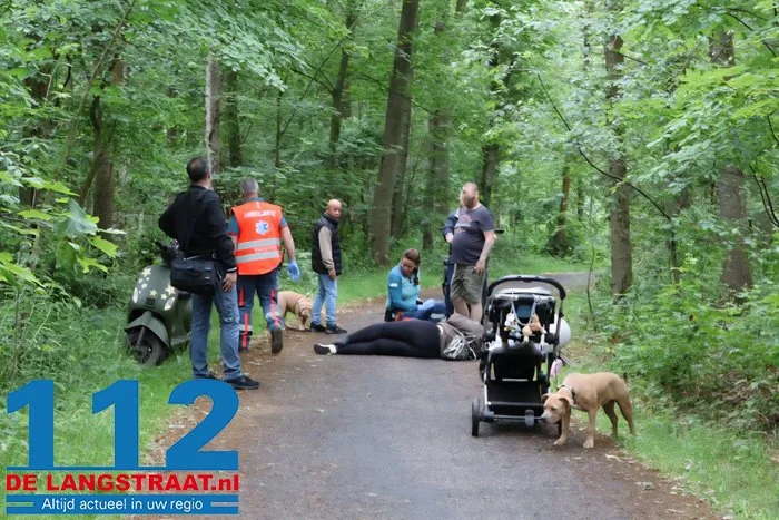 Vrouw op scooter gewond na valpartij aan Hoefsvenlaan in Waalwijk 1 Vrouw op scooter gewond na valpartij aan Hoefsvenlaan in Waalwijk 112 De Langstraat