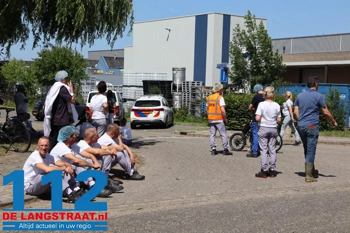 Grote brand bij fabriek van bakkerij Daelmans in Nieuwkuijk: pand ontruimd 14 Grote brand bij fabriek van bakkerij Daelmans in Nieuwkuijk: pand ontruimd 112 De Langstraat