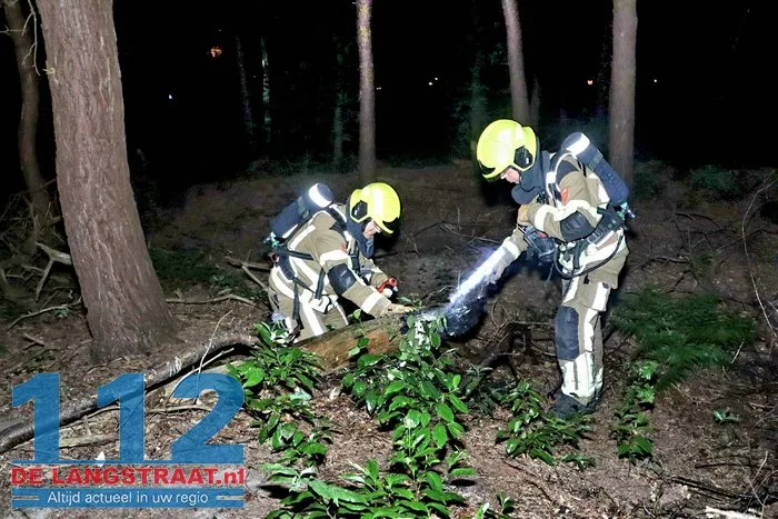 Kleine bosbrand tussen park De Efteling en Bosrijk snel geblust Kaatsheuvel 3 Kleine bosbrand tussen park De Efteling en Bosrijk snel geblust Kaatsheuvel 112 De Langstraat