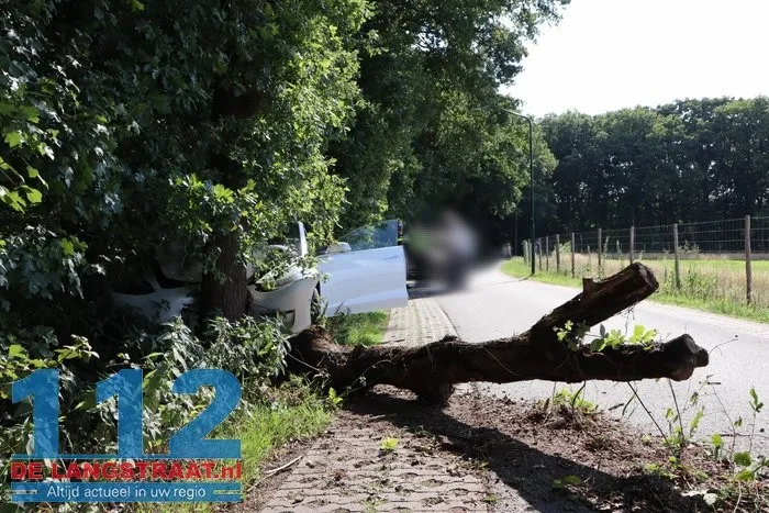 Auto tegen boom Roestelbergseweg Kaatsheuvel 4 Auto tegen boom Roestelbergseweg Kaatsheuvel 112 De Langstraat