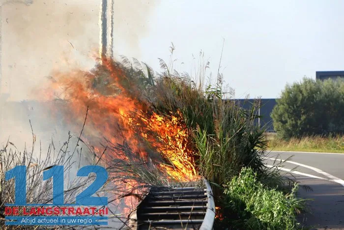 Bermbrand langs Midden-Brabantweg in Waalwijk zorgt voor verkeershinder 8 Bermbrand langs Midden-Brabantweg in Waalwijk zorgt voor verkeershinder 112 De Langstraat