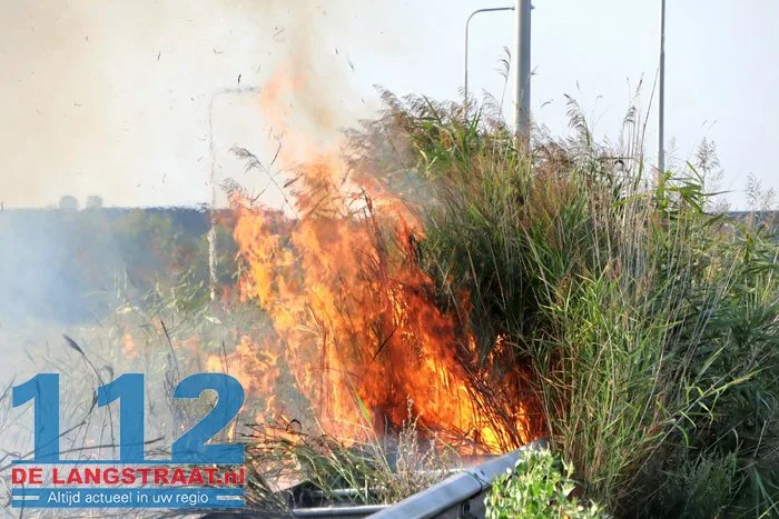 Bermbrand langs Midden-Brabantweg in Waalwijk zorgt voor verkeershinder 11 Bermbrand langs Midden-Brabantweg in Waalwijk zorgt voor verkeershinder 112 De Langstraat