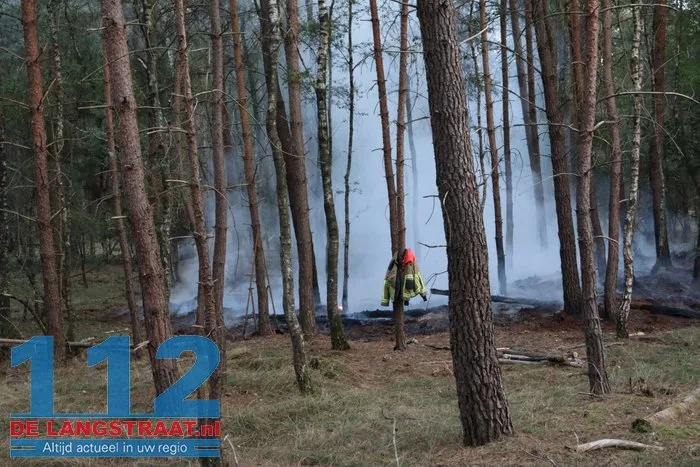 Brandweer bestrijdt bosbrand in bossen tussen Kaatsheuvel en Udenhout 11 Brandweer bestrijdt bosbrand in bossen tussen Kaatsheuvel en Udenhout 112 De Langstraat