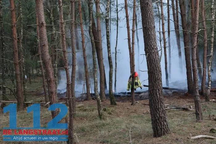 Brandweer bestrijdt bosbrand in bossen tussen Kaatsheuvel en Udenhout 13 Brandweer bestrijdt bosbrand in bossen tussen Kaatsheuvel en Udenhout 112 De Langstraat