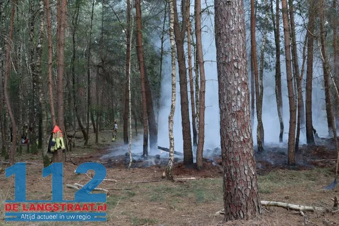 Brandweer bestrijdt bosbrand in bossen tussen Kaatsheuvel en Udenhout 14 Brandweer bestrijdt bosbrand in bossen tussen Kaatsheuvel en Udenhout 112 De Langstraat