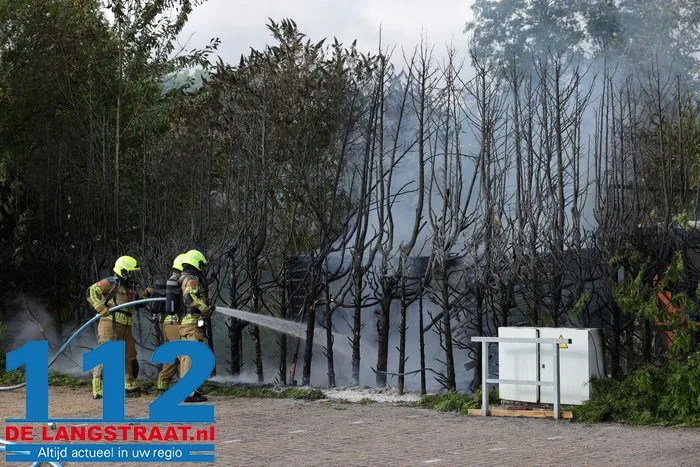 Schuurtje en coniferen in brand aan Loeffstraat in Waalwijk 10 Schuurtje en coniferen in brand aan Loeffstraat in Waalwijk 112 De Langstraat