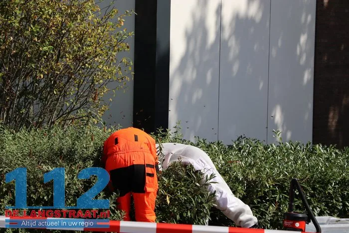 Groot nest Aziatische hoornaars verwijderd in Kaatsheuvel 4 Groot nest Aziatische hoornaars verwijderd in Kaatsheuvel 112 De Langstraat