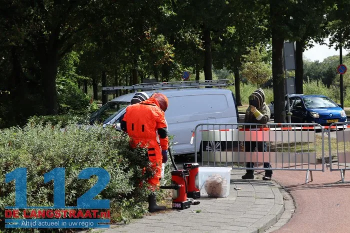 Groot nest Aziatische hoornaars verwijderd in Kaatsheuvel 14 Groot nest Aziatische hoornaars verwijderd in Kaatsheuvel 112 De Langstraat