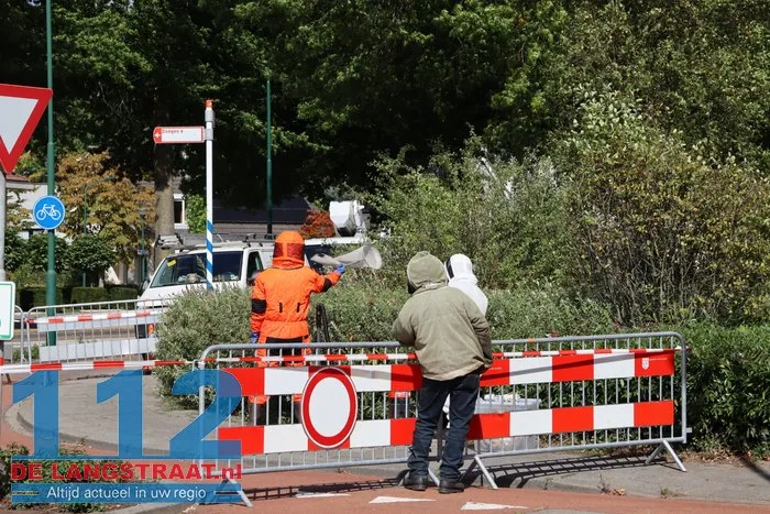 Groot nest Aziatische hoornaars verwijderd in Kaatsheuvel 21 Groot nest Aziatische hoornaars verwijderd in Kaatsheuvel 112 De Langstraat