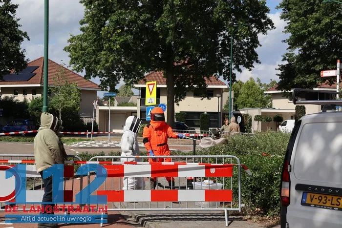 Groot nest Aziatische hoornaars verwijderd in Kaatsheuvel 23 Groot nest Aziatische hoornaars verwijderd in Kaatsheuvel 112 De Langstraat