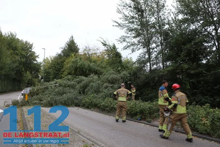 Boom waait om en blokkeert fietspad en weg Waalwijk 112 De Langstraat