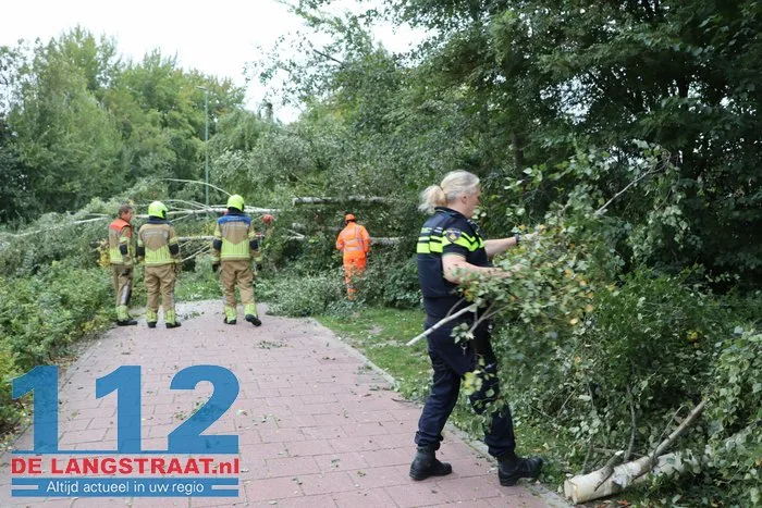 Boom waait om en blokkeert fietspad en weg Waalwijk 112 De Langstraat