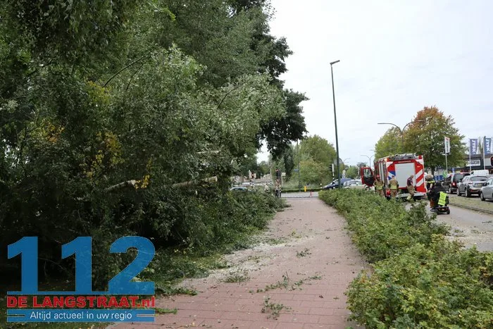 Boom waait om en blokkeert fietspad en weg Waalwijk 112 De Langstraat