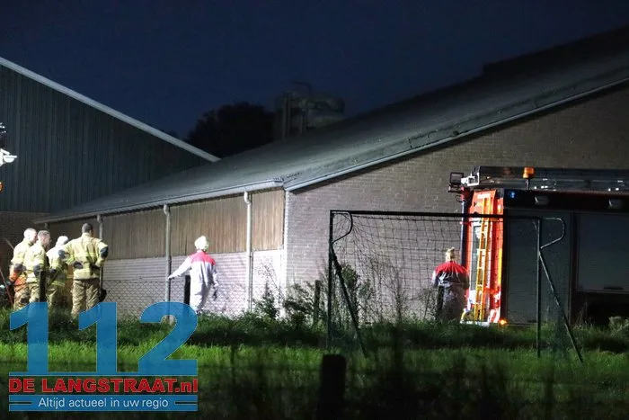 Koe zit vast in put bij boerderij in Elshout 3 Koe zit vast in put bij boerderij in Elshout 112 De Langstraat