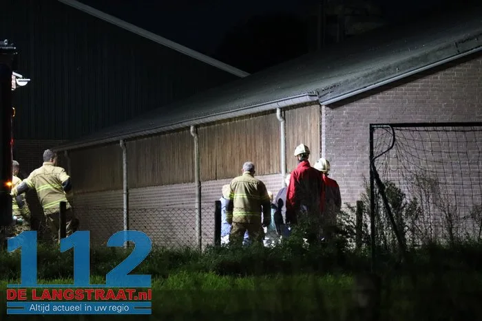 Koe zit vast in put bij boerderij in Elshout 4 Koe zit vast in put bij boerderij in Elshout 112 De Langstraat