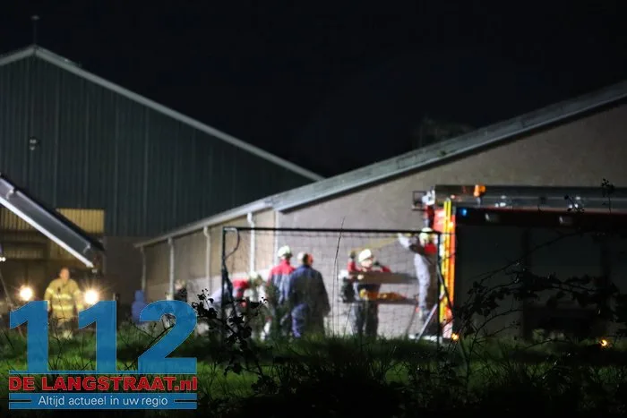 Koe zit vast in put bij boerderij in Elshout 6 Koe zit vast in put bij boerderij in Elshout 112 De Langstraat