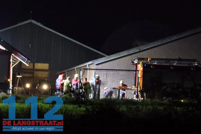 Koe zit vast in put bij boerderij in Elshout 7 Koe zit vast in put bij boerderij in Elshout 112 De Langstraat