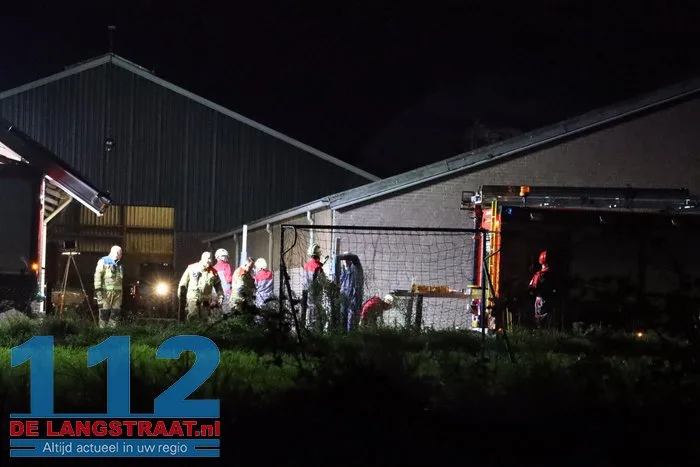 Koe zit vast in put bij boerderij in Elshout 8 Koe zit vast in put bij boerderij in Elshout 112 De Langstraat