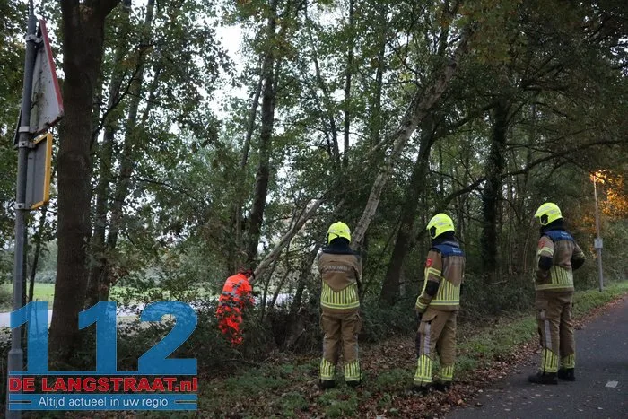Brandweer zaagt boom om die dreigt om te vallen op fietspad 1 Brandweer zaagt boom om die dreigt om te vallen op fietspad 112 De Langstraat