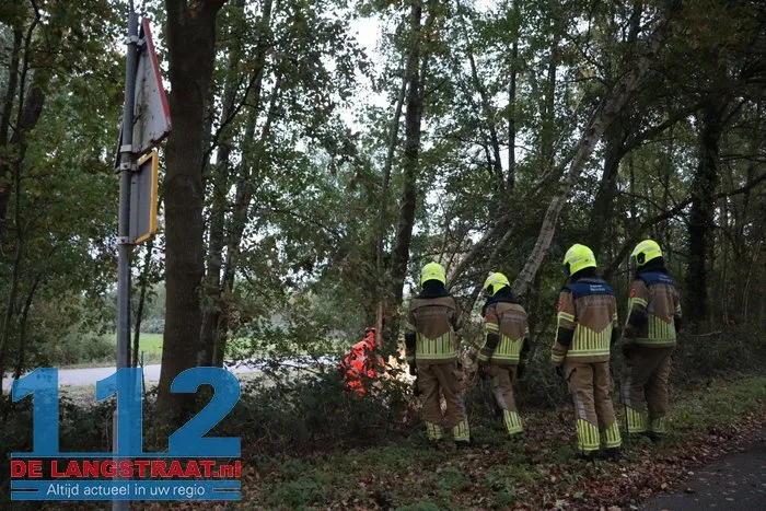 Brandweer zaagt boom om die dreigt om te vallen op fietspad 2 Brandweer zaagt boom om die dreigt om te vallen op fietspad 112 De Langstraat