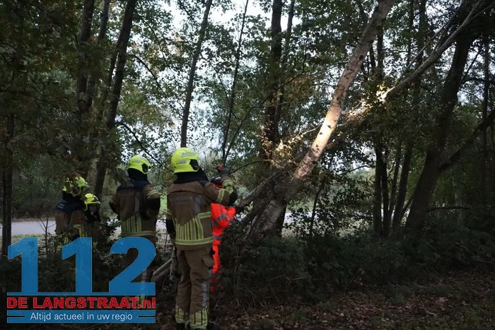 Brandweer zaagt boom om die dreigt om te vallen op fietspad 3 Brandweer zaagt boom om die dreigt om te vallen op fietspad 112 De Langstraat