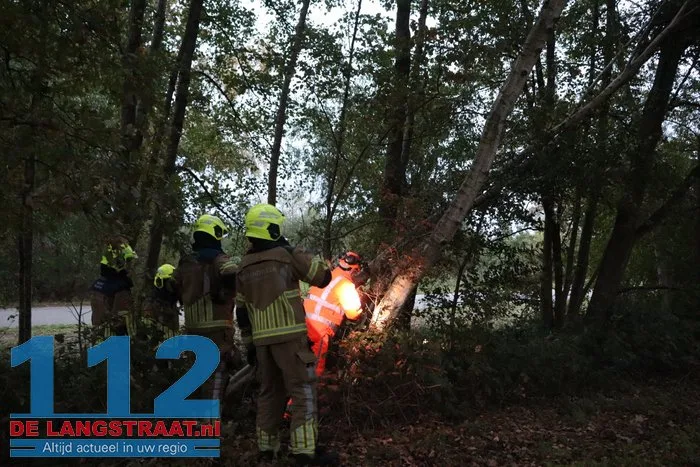 Brandweer zaagt boom om die dreigt om te vallen op fietspad 4 Brandweer zaagt boom om die dreigt om te vallen op fietspad 112 De Langstraat