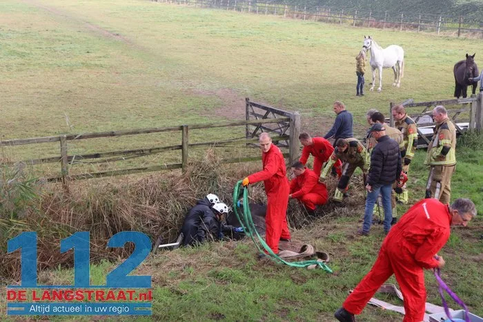 Grote brandweeractie voor paard in sloot aan Waspiksedijk Sprang-Capelle 112 De Langstraat