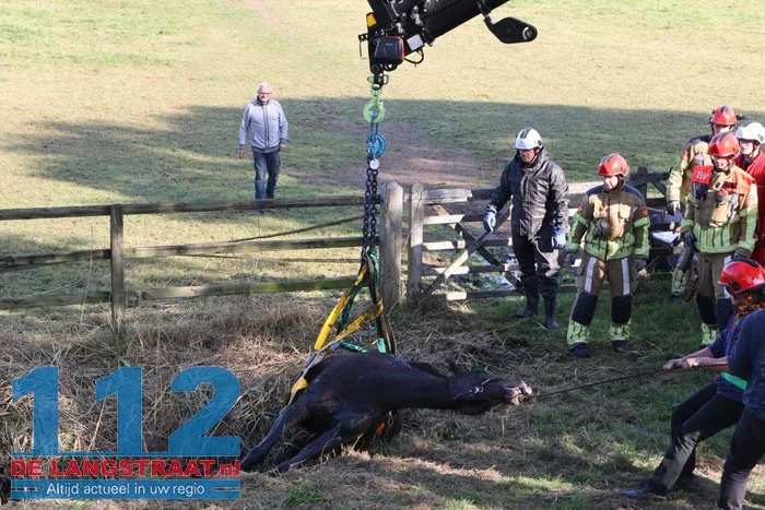 Grote brandweeractie voor paard in sloot aan Waspiksedijk Sprang-Capelle 112 De Langstraat