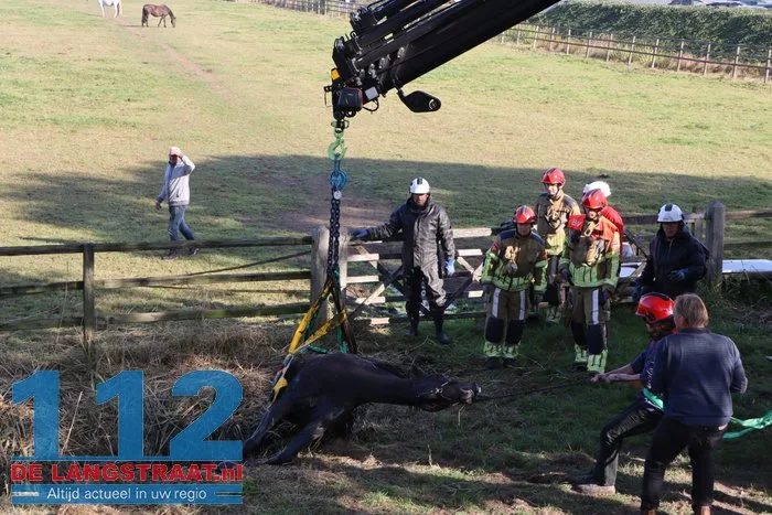 Grote brandweeractie voor paard in sloot aan Waspiksedijk Sprang-Capelle 112 De Langstraat