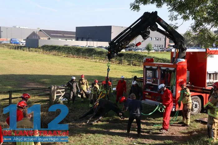 Grote brandweeractie voor paard in sloot aan Waspiksedijk Sprang-Capelle 112 De Langstraat