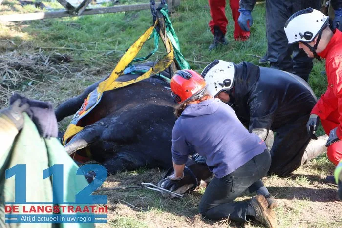 Grote brandweeractie voor paard in sloot aan Waspiksedijk Sprang-Capelle 112 De Langstraat