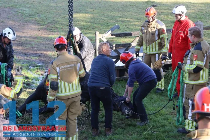 Grote brandweeractie voor paard in sloot aan Waspiksedijk Sprang-Capelle 112 De Langstraat