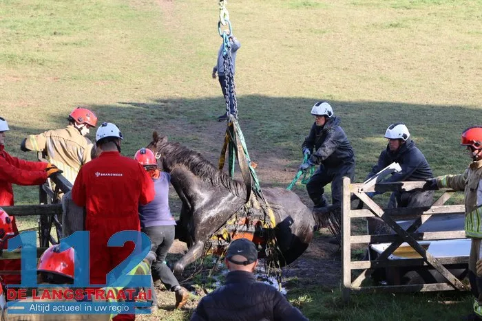 Grote brandweeractie voor paard in sloot aan Waspiksedijk Sprang-Capelle 112 De Langstraat