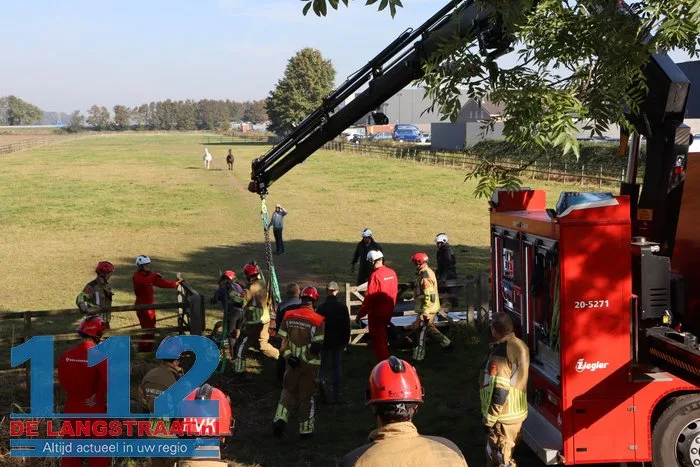 Grote brandweeractie voor paard in sloot aan Waspiksedijk Sprang-Capelle 112 De Langstraat