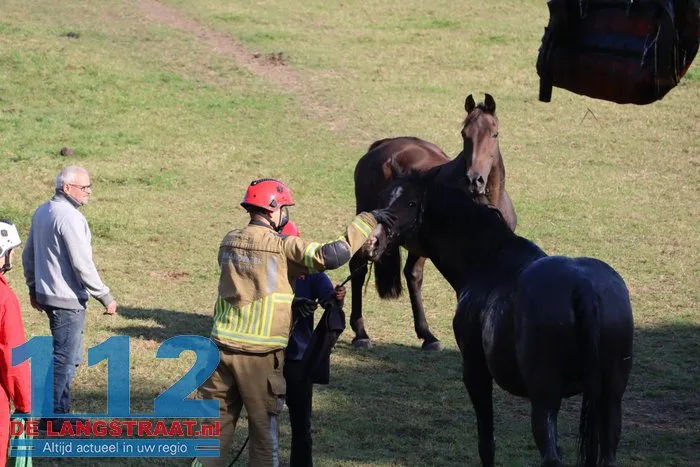 Grote brandweeractie voor paard in sloot aan Waspiksedijk Sprang-Capelle 112 De Langstraat