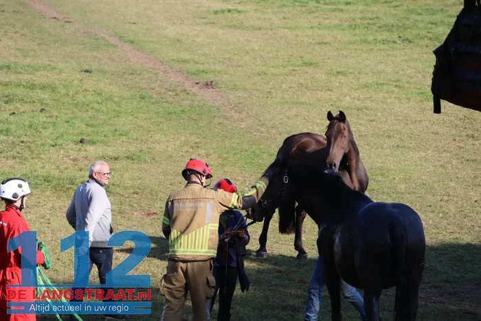 Grote brandweeractie voor paard in sloot aan Waspiksedijk Sprang-Capelle 112 De Langstraat